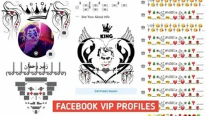 facebook vip bio text copy